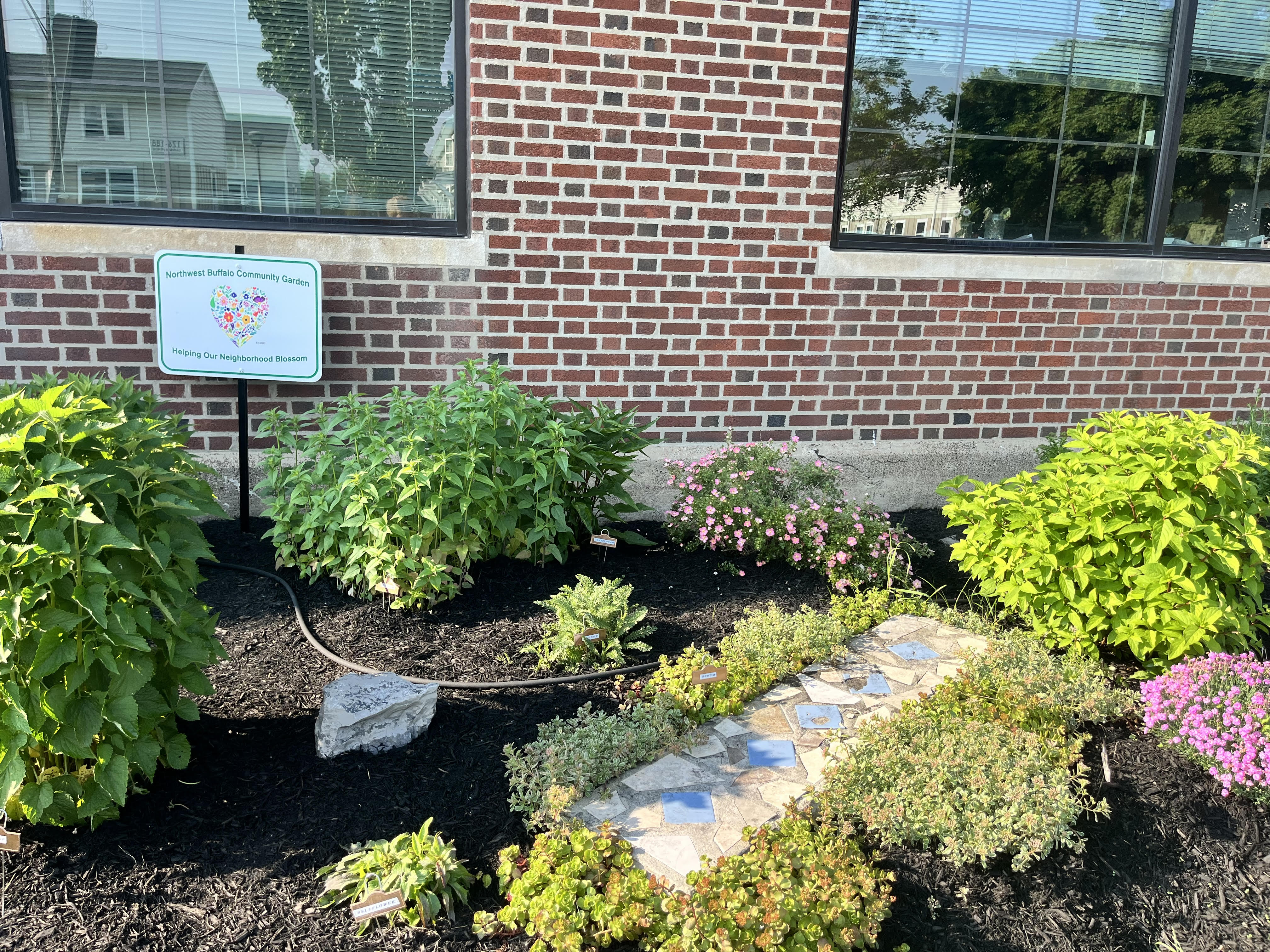 Library Interior View 11