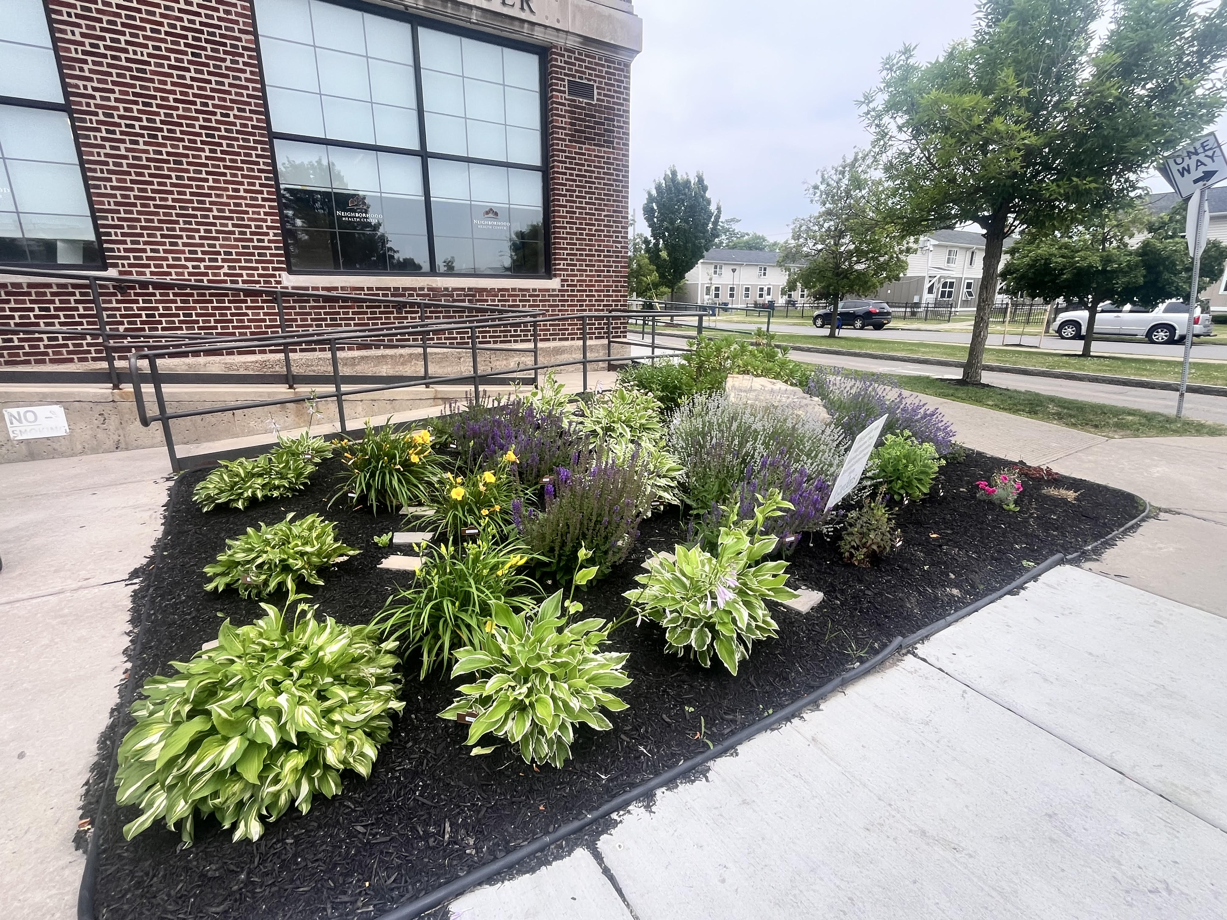 Library Interior View 12