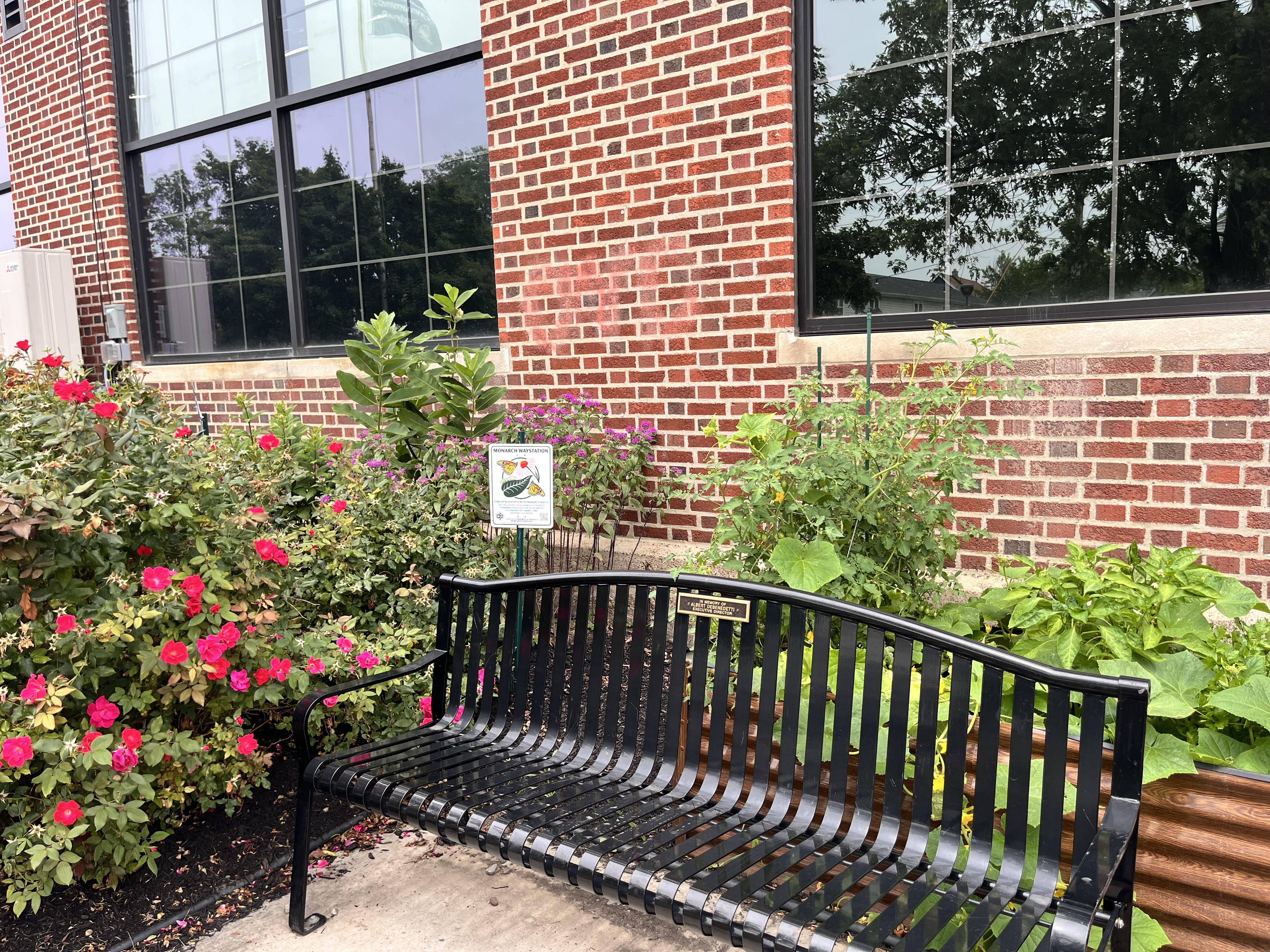 Library Interior View 13