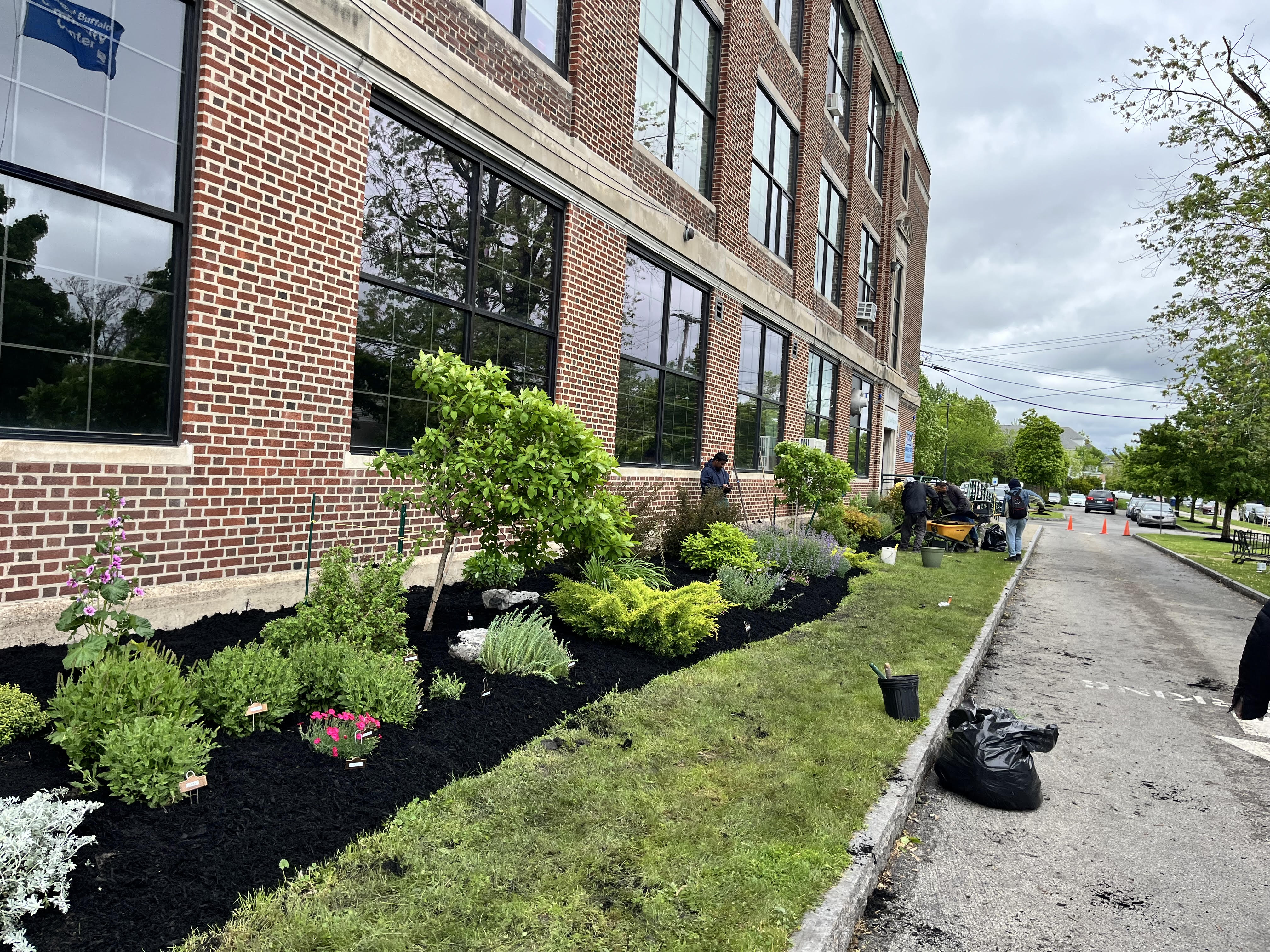 Library Interior View 7