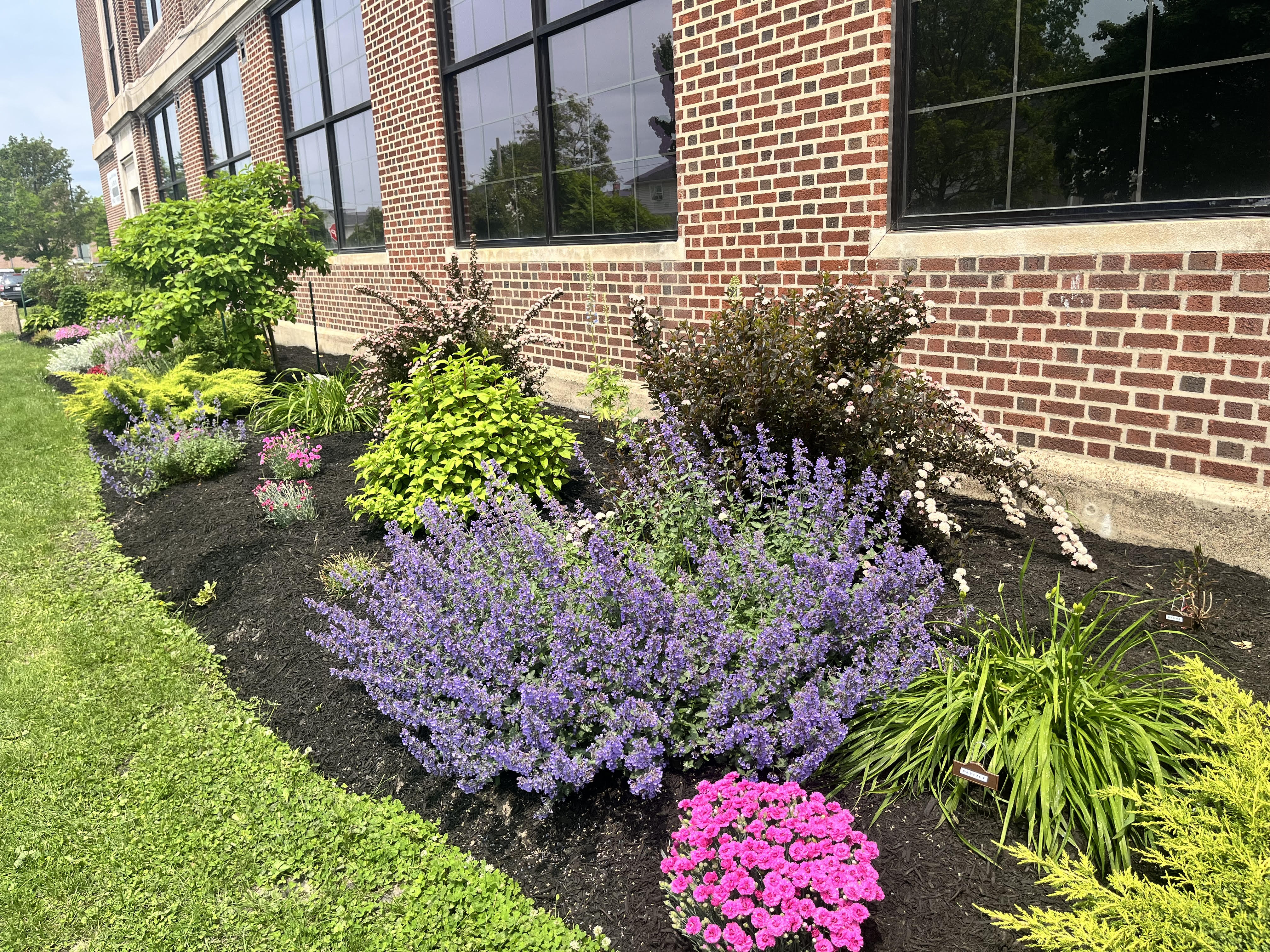 Library Interior View 8